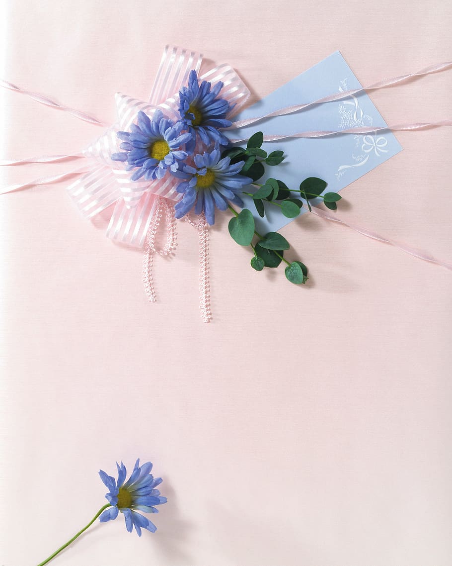 flat lay photography of blue flower, packaging, gift package HD wallpaper