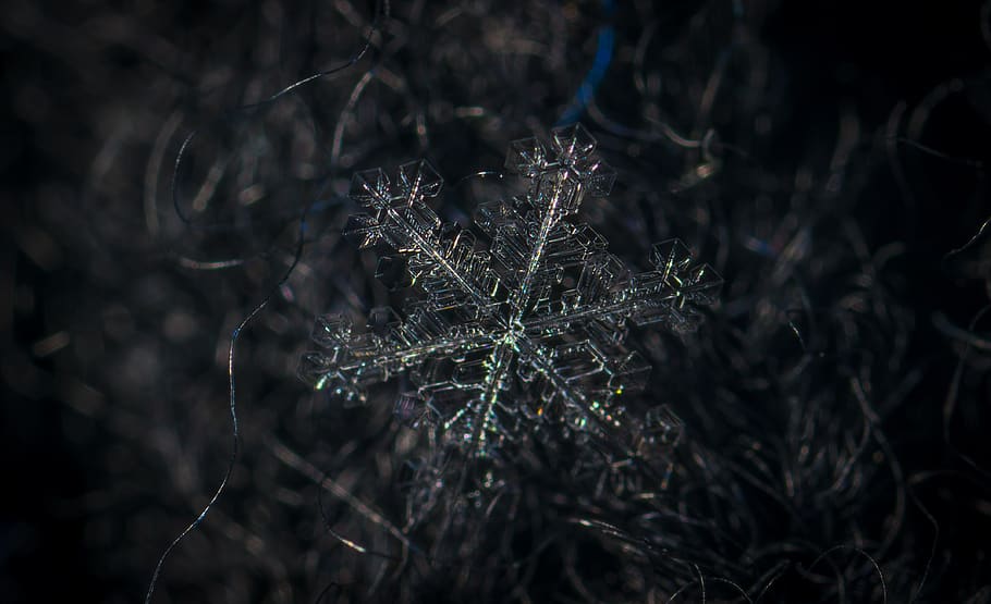 snowflake, macro, wool, plant, close-up, fragility, nature HD wallpaper