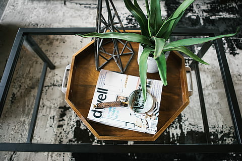leafed plant in white pot on table, white ceramic plant pot with aloe vera on top of wooden tray HD wallpaper