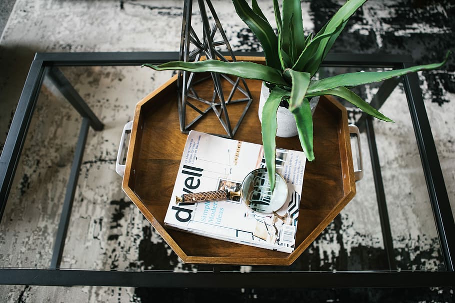 leafed plant in white pot on table, white ceramic plant pot with aloe vera on top of wooden tray HD wallpaper