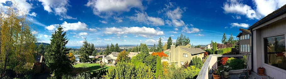 aerial view of terrace near trees, panorama, panoramic, landscape HD wallpaper