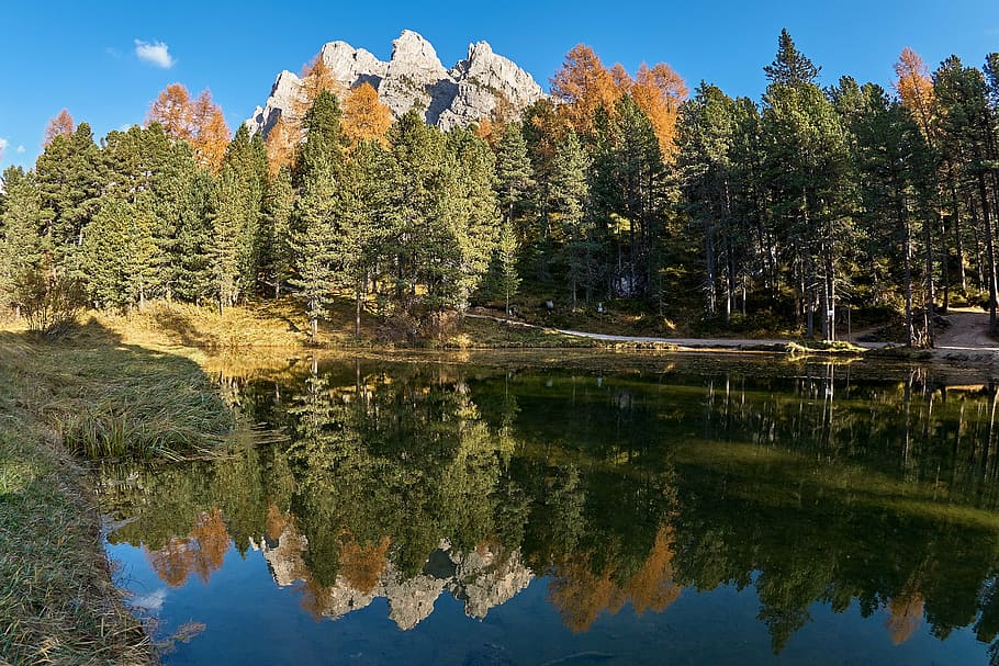 autumn, lake, trees, forest, nature, landscape, farbenspiel, HD wallpaper