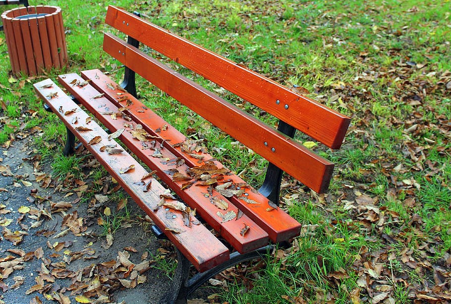 bench, park, autumn, spacer, foliage, holiday, nature, sit HD wallpaper