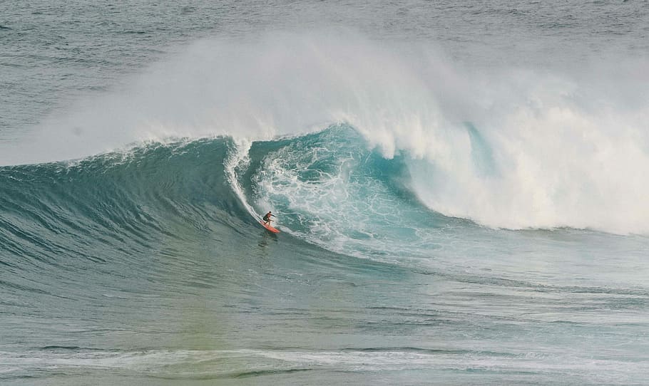 person surfing with orange surf board at day time, sea, wave HD wallpaper