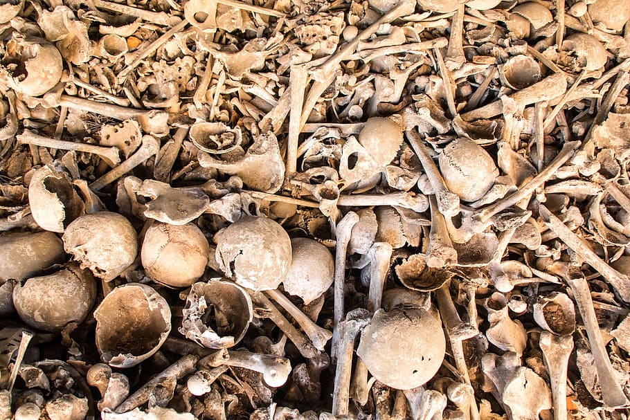 Human, Bones, World War, Death, human bones, skull, weird, skeleton HD wallpaper