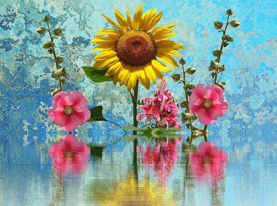 sun flower, summer, hollyhock flower, yellow, blossom, bloom, HD wallpaper