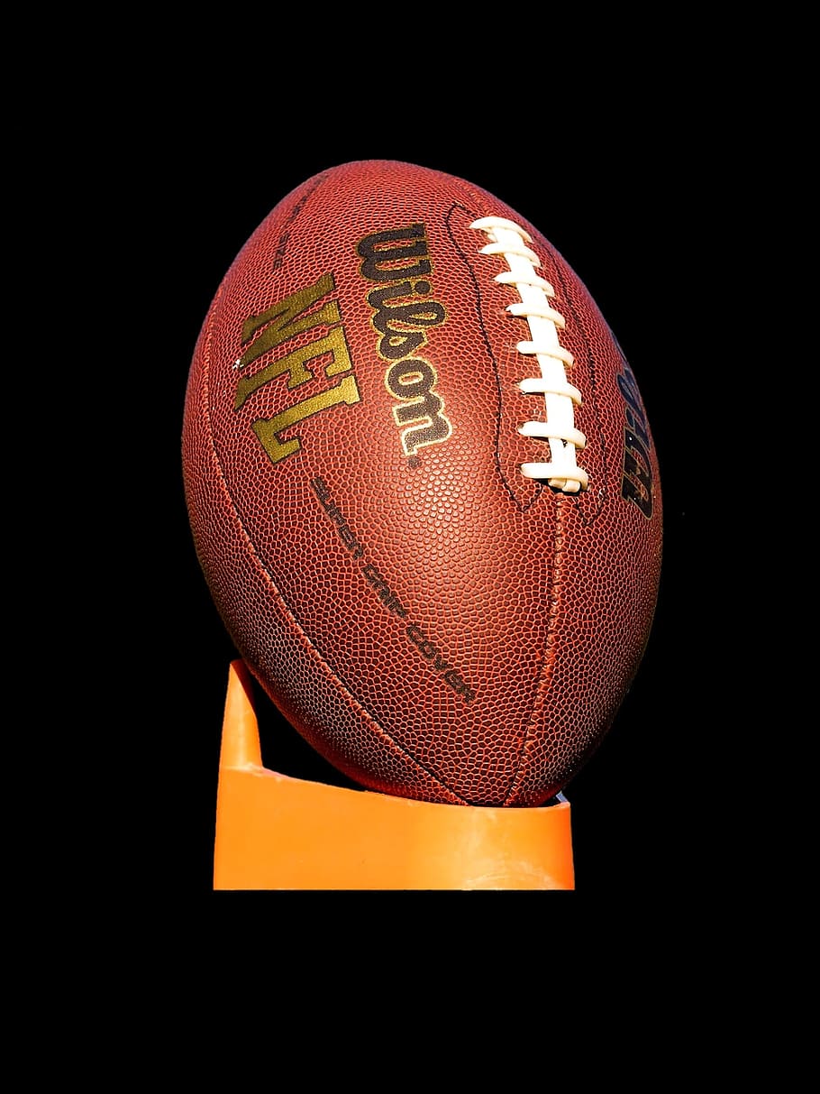 brown Wilson football on stand, american football, leathercraft