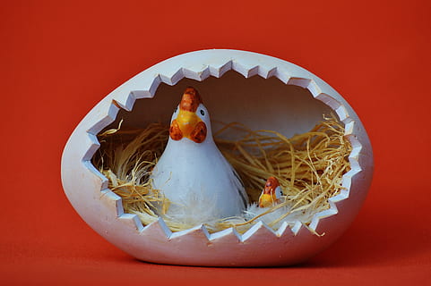 two white-and-red hens inside egg nest figurine, chick, ceramic HD wallpaper