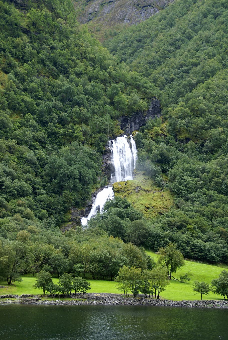 nature, water, tree, river, plant, waterfall, beauty in nature HD wallpaper