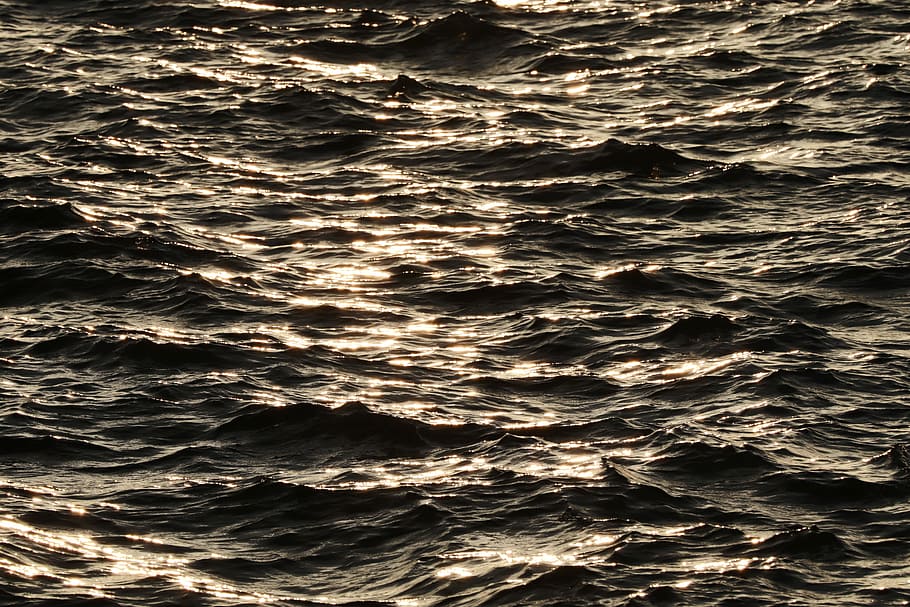 water, light, mirroring, wave, mood, reflection, shiny, lichtspiel HD wallpaper
