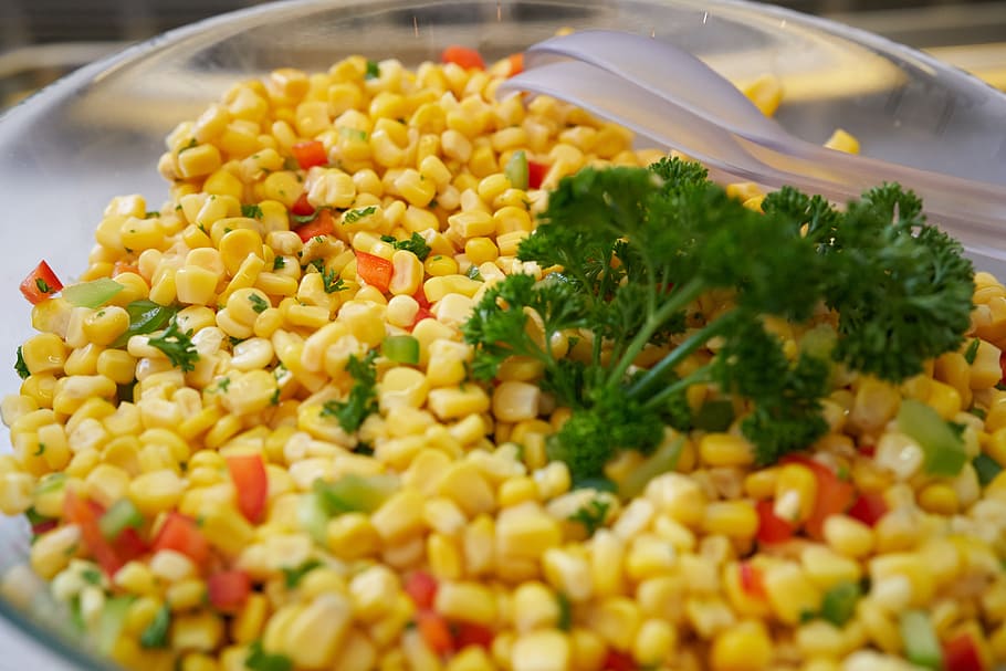 corn, salad, curry, healthy, eat, food, vegetables, kitchen HD wallpaper