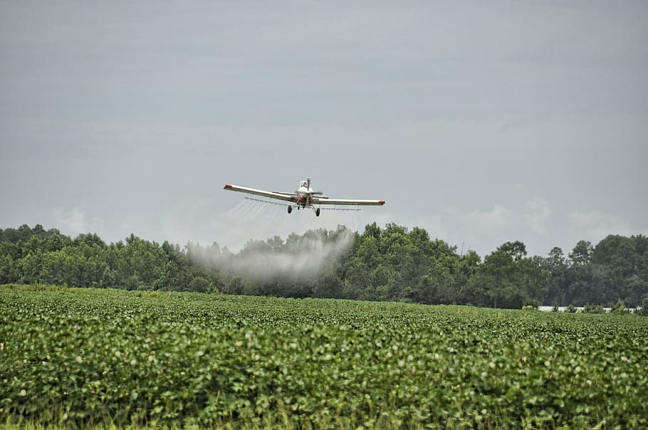white monoplane spraying fertilizer, airplane, crop duster, dangerous