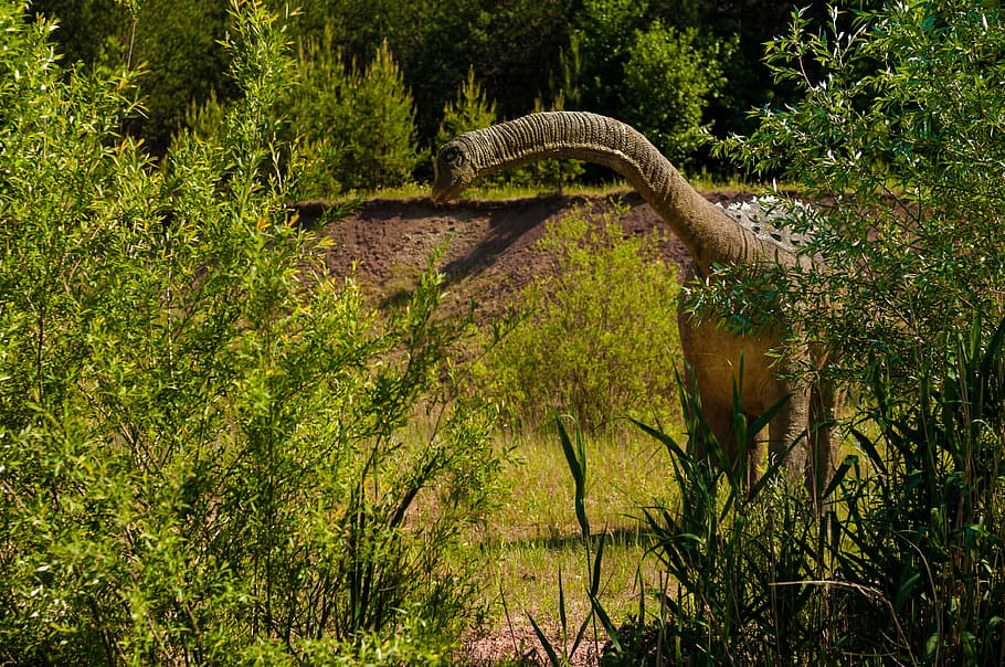 brown dinosaur surrounded by trees during daytime, Gad, Mammal, HD wallpaper