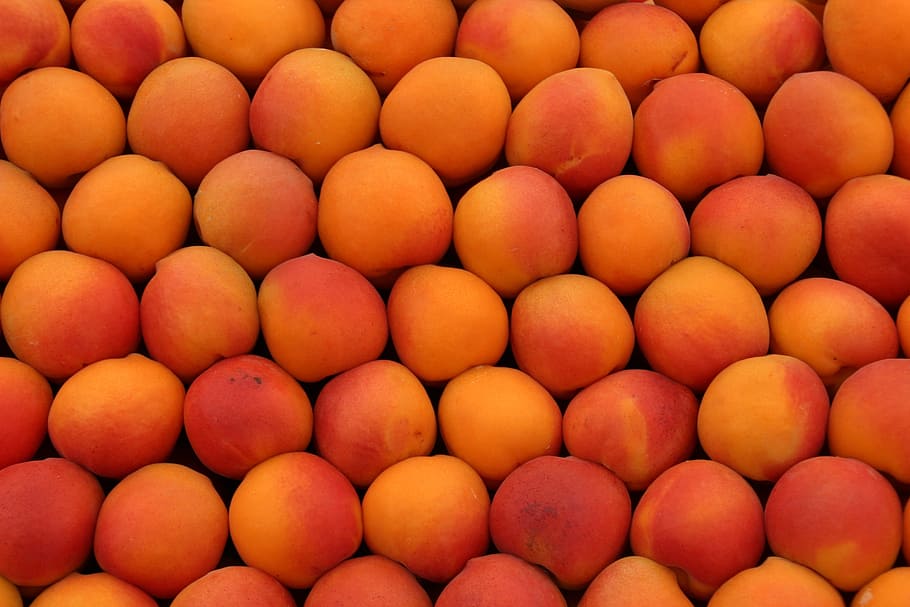 round orange fruits, peach, market, full frame, food, backgrounds HD wallpaper