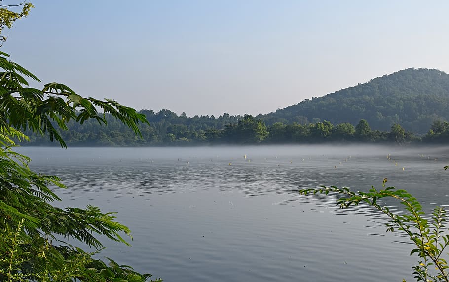 melton lake on foggy morning, dawn, rowing channels, clinch river