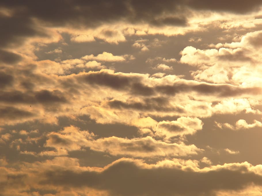 sky, sunrise, clouds, golden, rays, cloud - sky, beauty in nature HD wallpaper