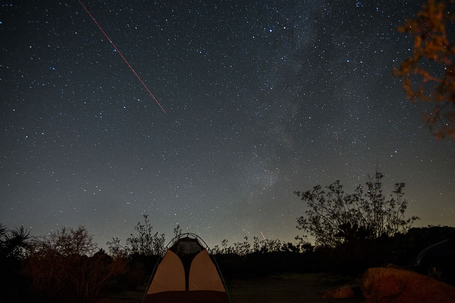yellow and black dome tent surrounded by trees under black and white sky at nighttime, dome tent during nighttime HD wallpaper