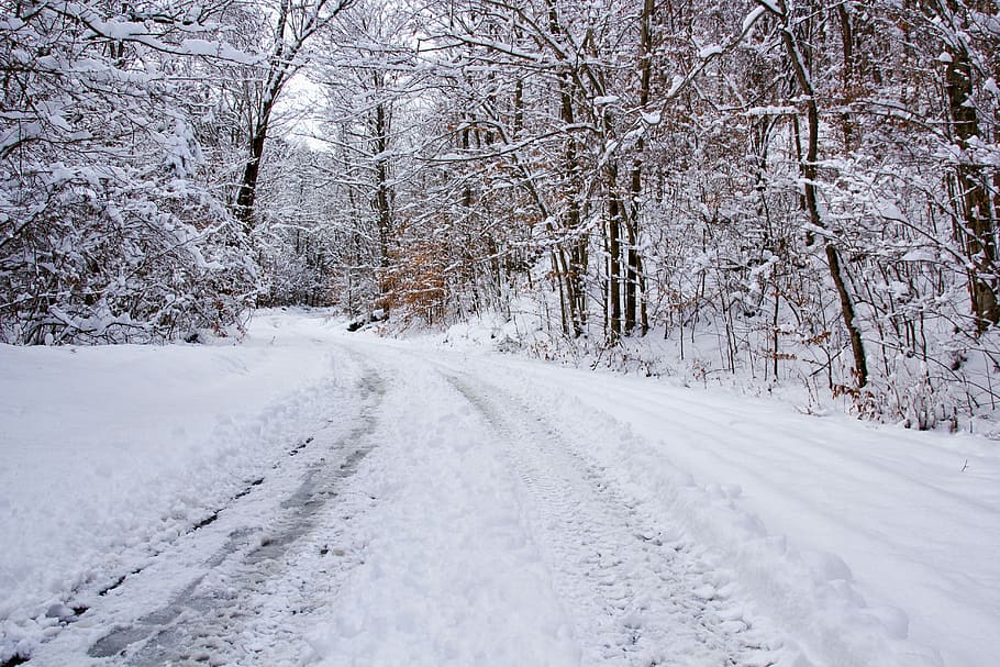 Snowy Road, Background, Snowscape, winter, cold temperature HD wallpaper