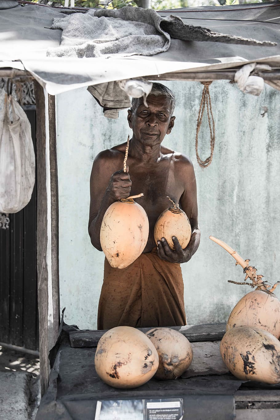 person holding coconut, man holding two coconuts, male, elderly HD wallpaper