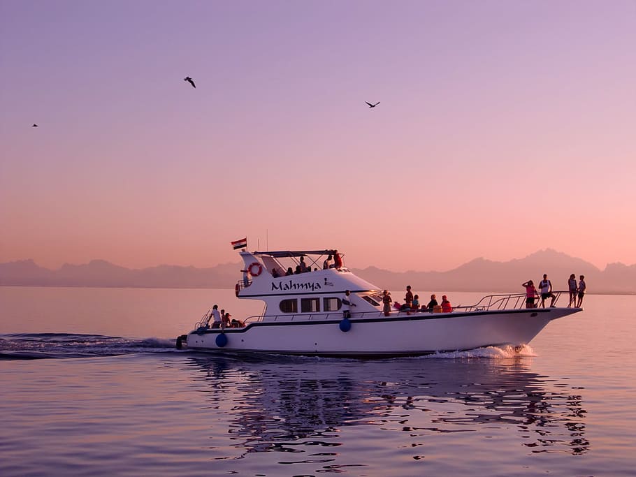 white and black motorboat with people inside, Sea, Summer, Sun HD wallpaper