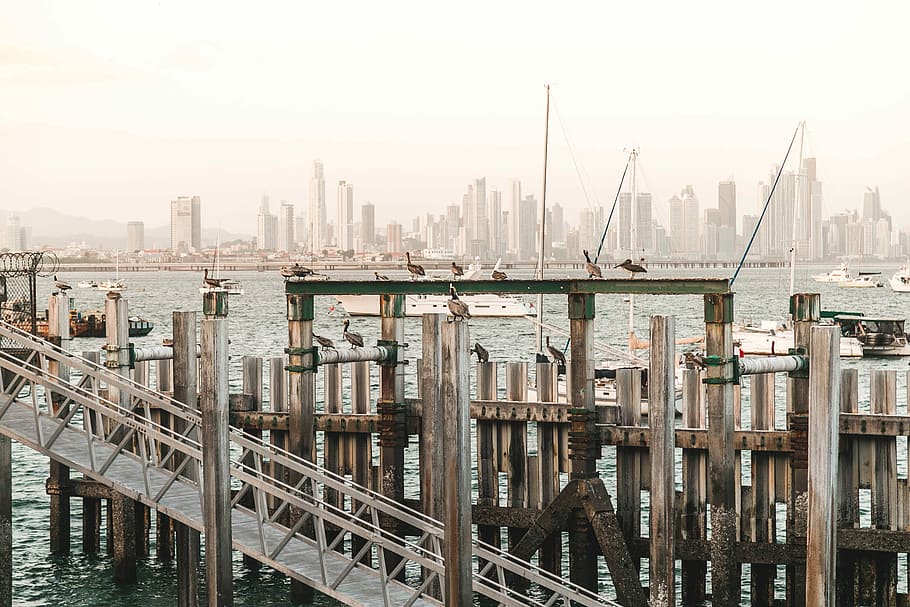 gray concrete bridge beside wooden fence, high-angle photography of gray bridge and structure on body of water HD wallpaper
