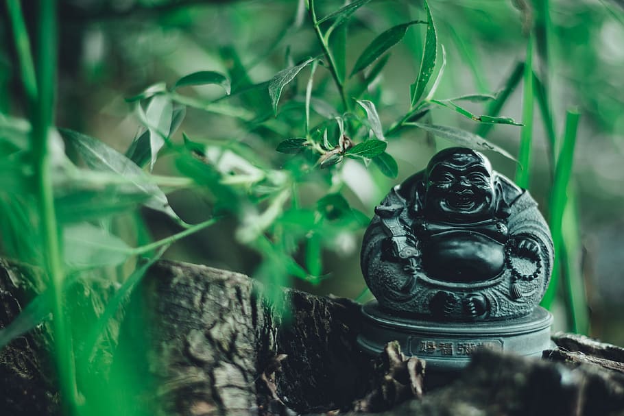 Budai figurine close-up photo, buddha, religion, laughing buddha