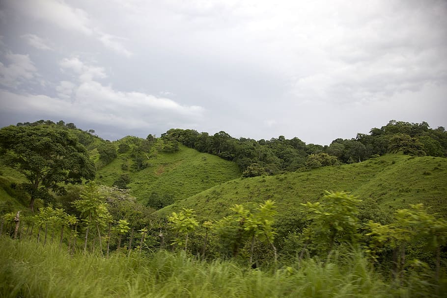 Panama, Landscape, Clouds, Hills, sky, forest, trees, woods HD wallpaper