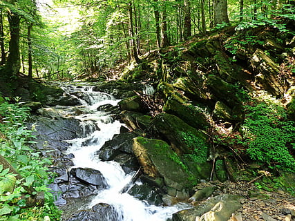 Waterfall, Rock, Nature, brook, top view, lake, forest, landscape HD wallpaper