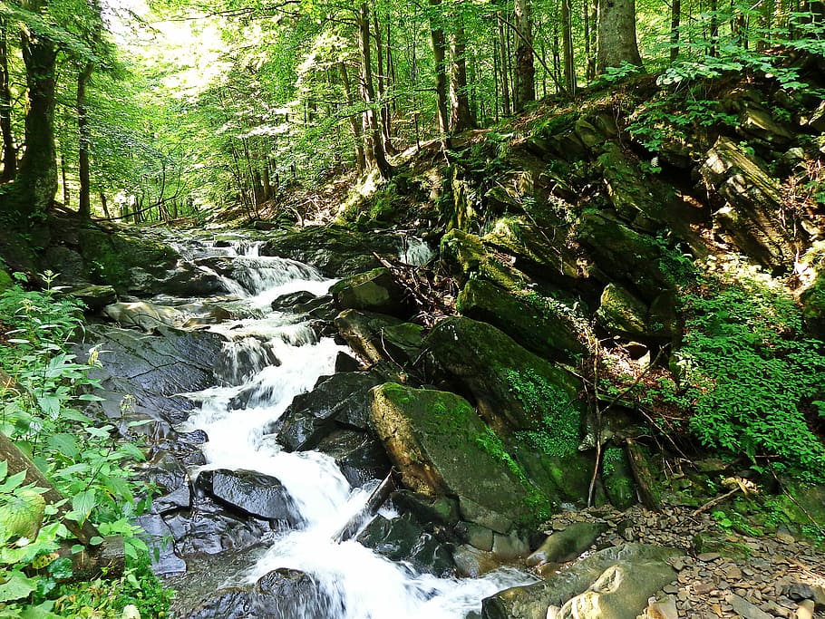 Waterfall, Rock, Nature, brook, top view, lake, forest, landscape HD wallpaper