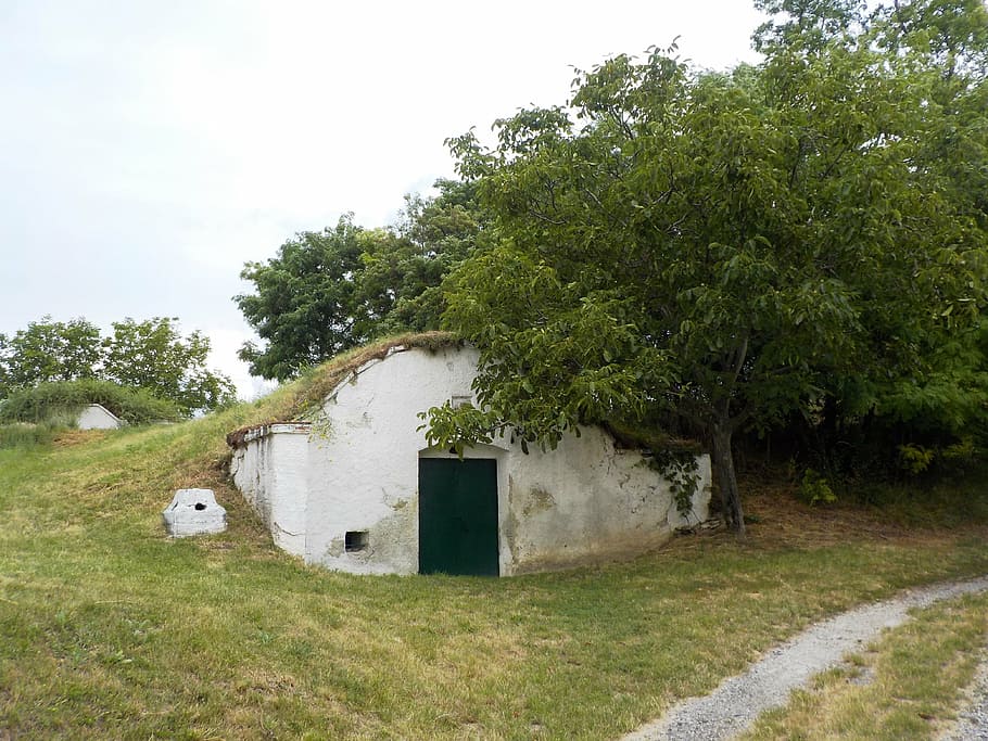 cellar, kellergasse, lower austria, inhospitable, leave, nature HD wallpaper