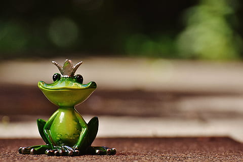 shallow focus photography of frog figurine, frog prince, crown HD wallpaper