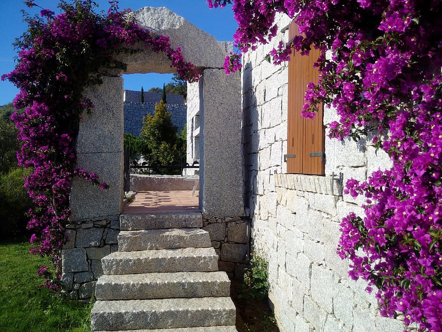 sardinia, bougainvillea, triple flower, li conchi, architecture, HD wallpaper