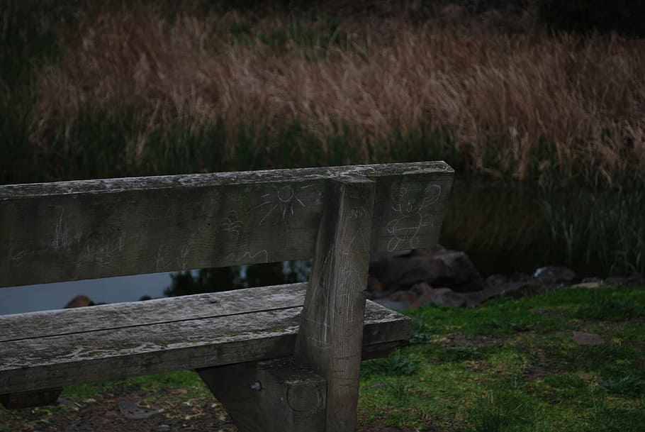 Bench, Reeds, Graffiti, Lake, Nature, wooden, park, seat, natural HD wallpaper