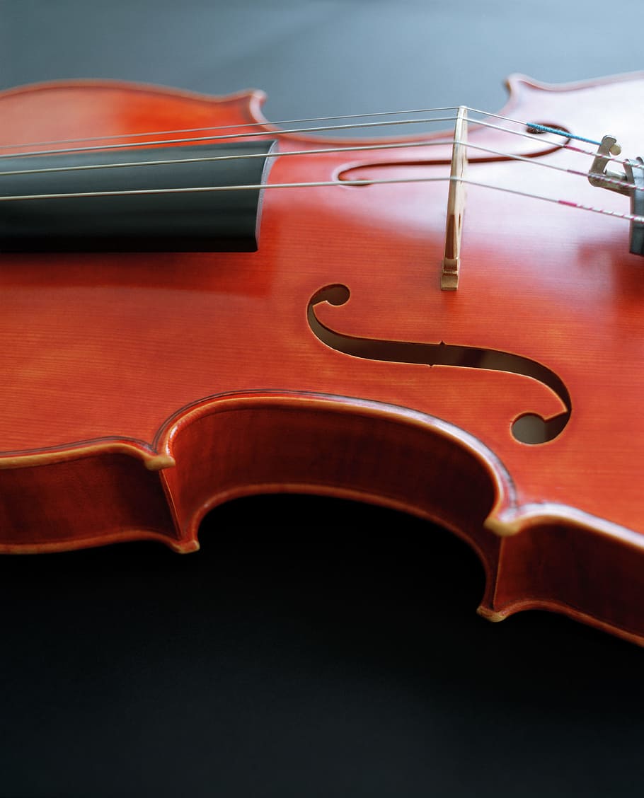violin, classic, viola, bowed stringed instrument, orchestra HD wallpaper