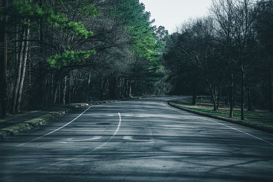 gray asphalt road beside trees, gray concrete road near trees during daytime HD wallpaper