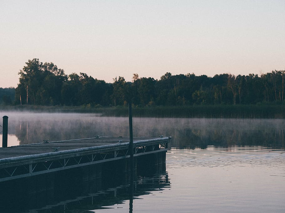 daylight, dock, foggy, forest, hazy, landscape, misty, murky HD wallpaper
