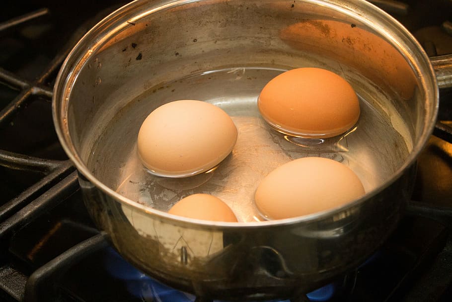 eggs, boiled eggs, breakfast, food, cooked, healthy, yolk, fresh, HD wallpaper