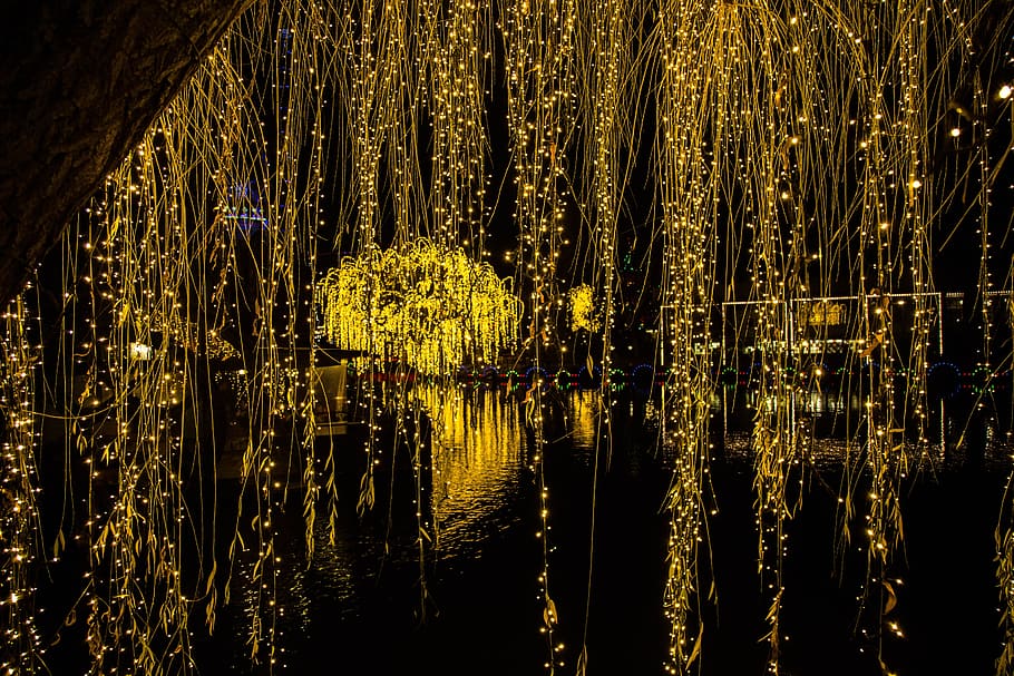 lighted string light near body of water, wallpaper, nature HD wallpaper