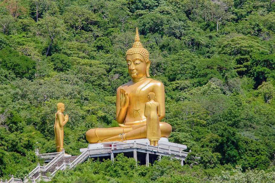 Buddha statue near tree, image, glod, representation, sculpture HD wallpaper