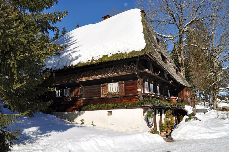 st mar gene, black forest, vacation, snow, winter, cold temperature HD wallpaper