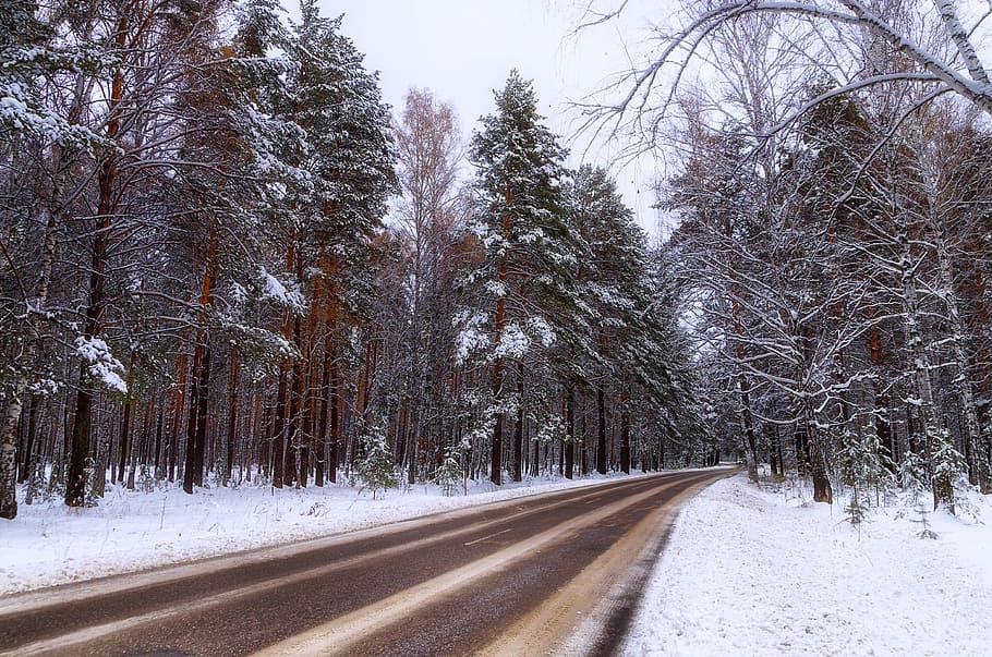 Winter, Road, Forest, Snow, Winter Road, trees, winter landscape HD wallpaper