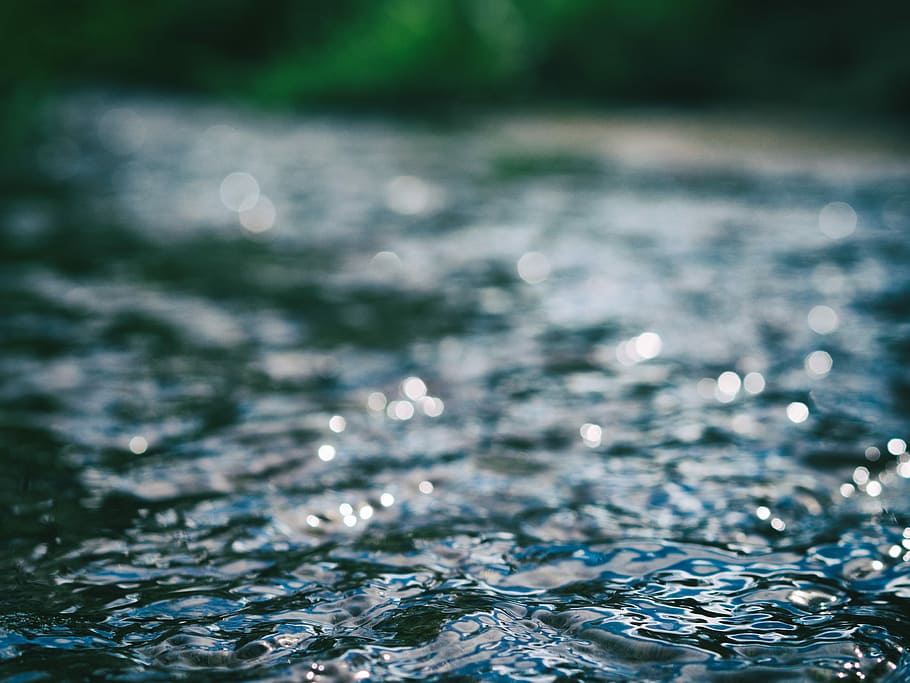 body of water in macro shot, selective focus photography of water ripples HD wallpaper