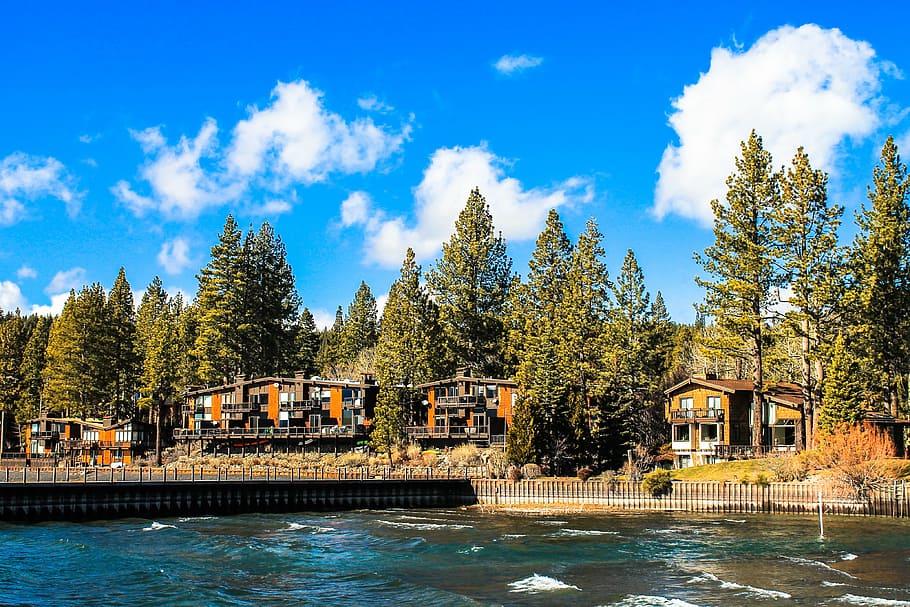 brown-and-gray houses surrounded by trees and river, tahoe, lake