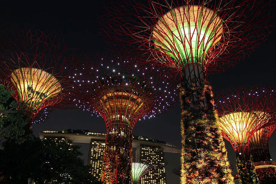 tree towers, singapore, sky, night, landmark, park, asia, modern HD wallpaper