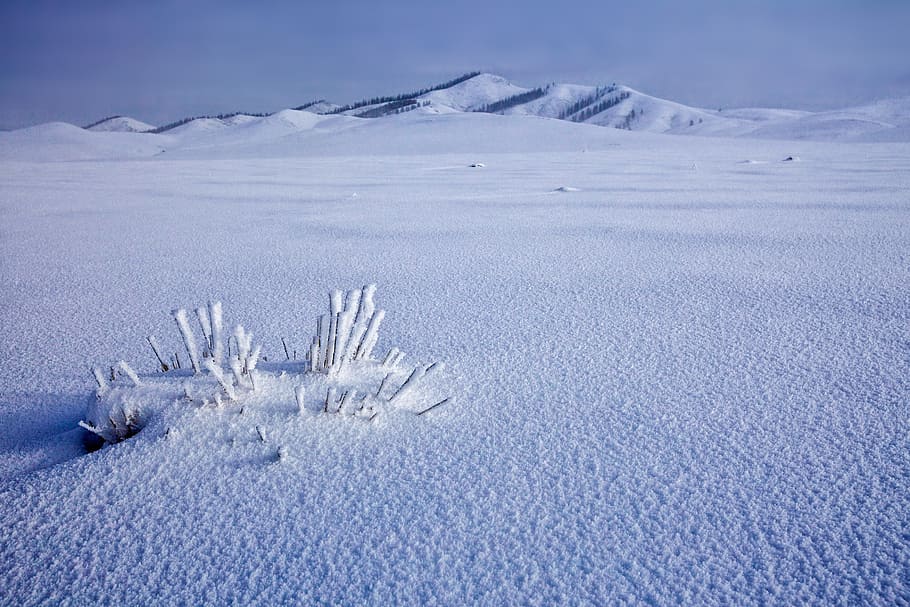 snowfield, frozen, winter, bogart village, december, mongolia