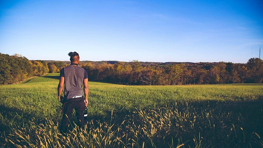 open, field, wideshot, nature, bright, blue, outdoors, rural Scene HD wallpaper