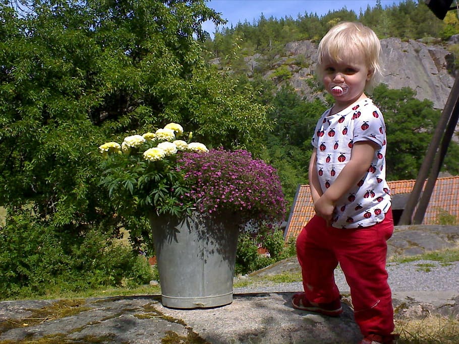 children, flowers, bucket, plant, childhood, standing, real people HD wallpaper