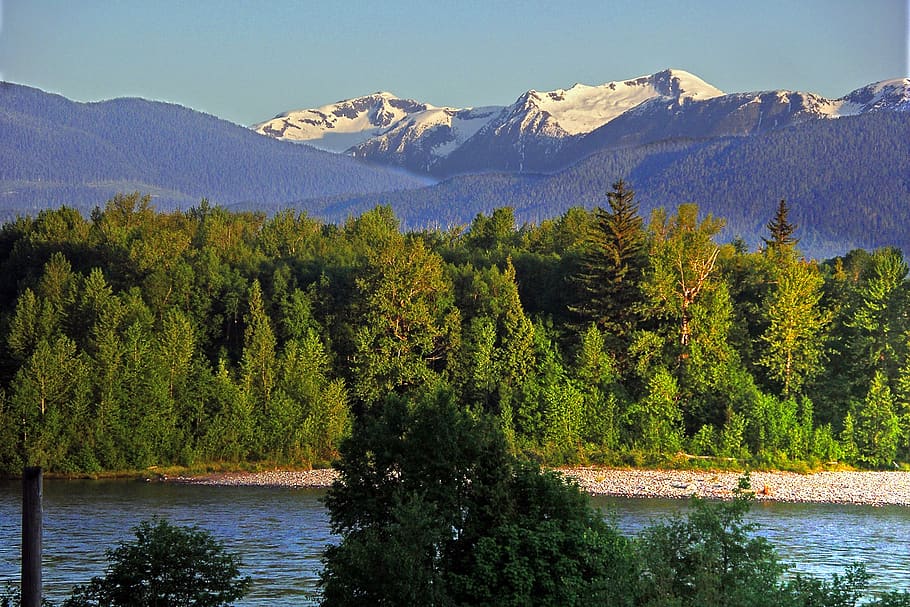 snow capped mountains, rivers, forest, tree, plant, water, scenics - nature HD wallpaper