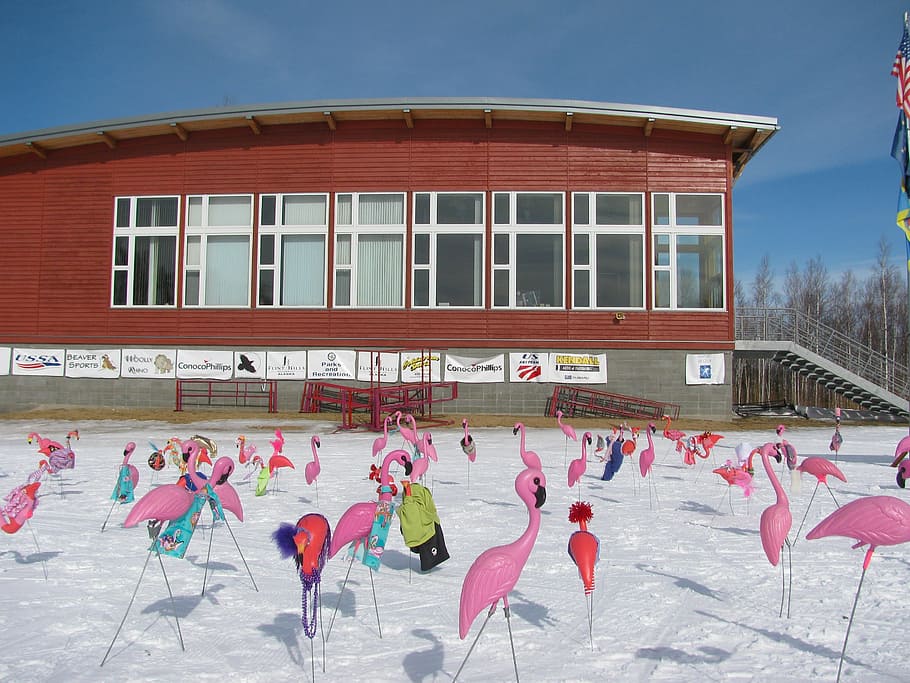fairbanks, alaska, building, ski resort, winter, snow, ice, HD wallpaper