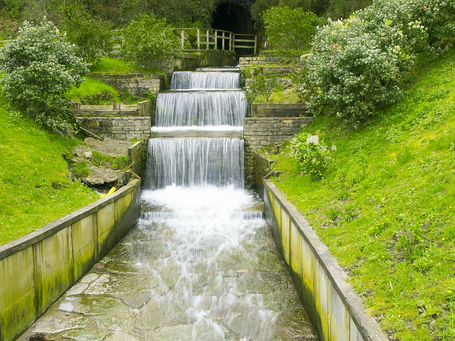 river, water, waterfall, plant, tree, flowing water, nature HD wallpaper